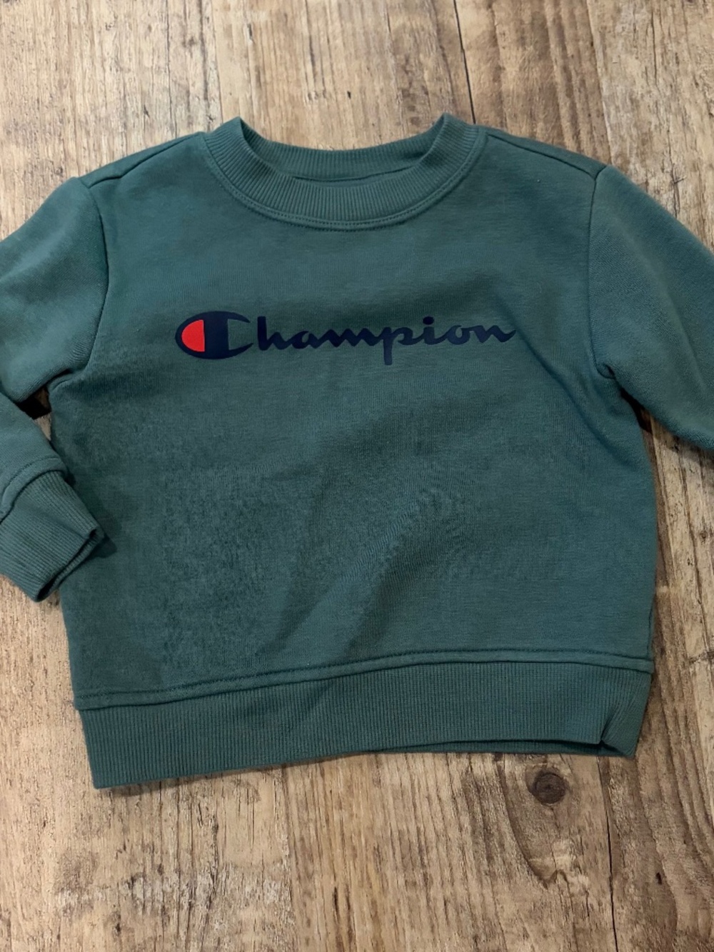 Toddler Champion Sweater